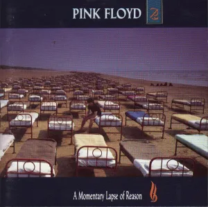 A Momentary Lapse Of Reason
