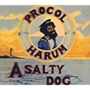 A Salty Dog