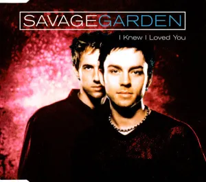 I Knew I Loved You Limited Edition