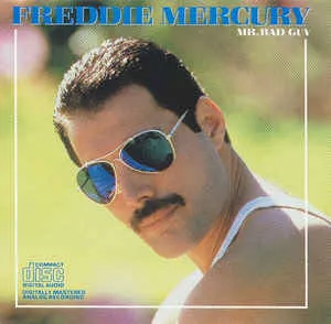 Mr Bad Guy