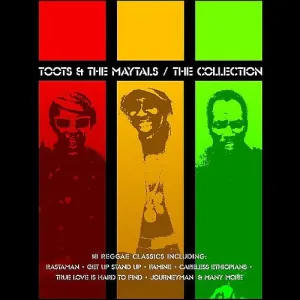 The Collection
