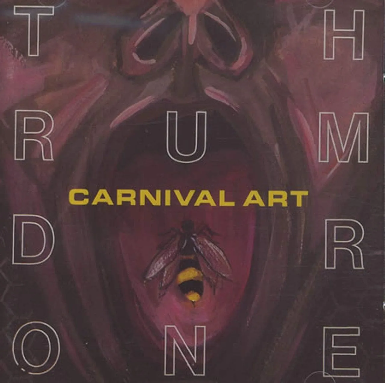 Thrumdrone